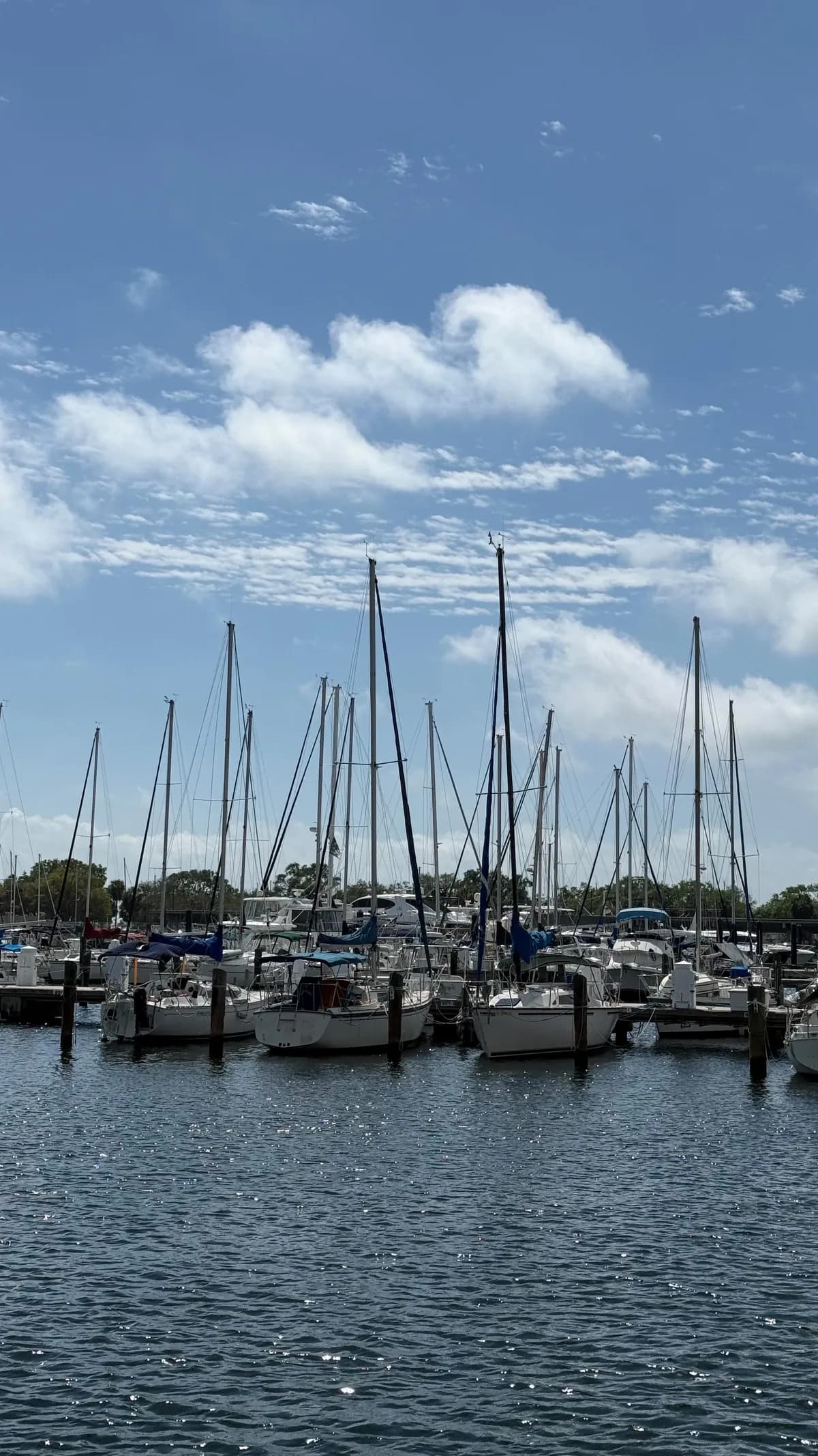 The downtown St. Petersburg marina.
